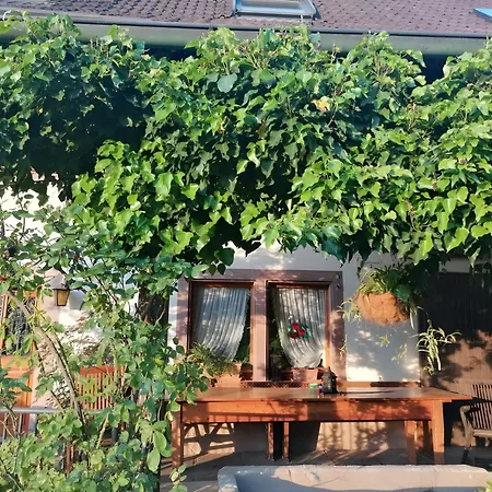 Double Linden Blossom Pensionat *