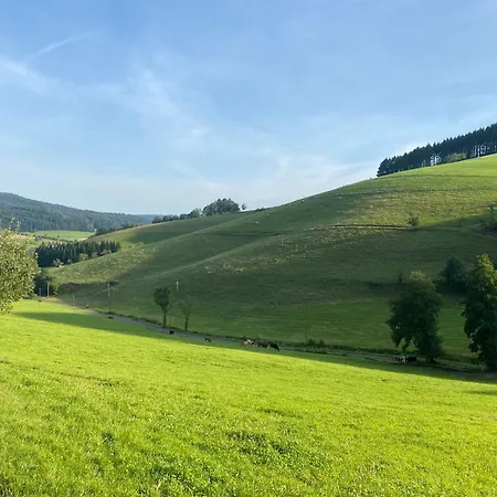 Double Linden Blossom Schuttertal